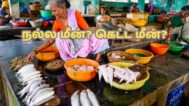Fish Sale