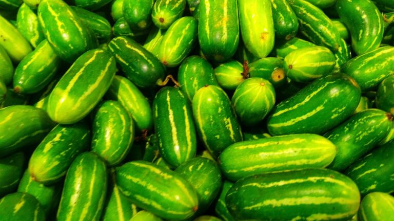 கோவக்காயில் பொரியல்