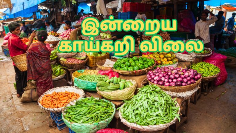 Today vegetable Price
